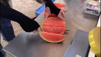 吃瓜群众集合啦网约车,吃瓜群众集合啦！